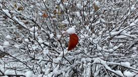 Snow sweeps northern Illinois with highest snowfall so far in Plainfield, Downers Grove