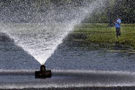 There is poetic beauty and truth in our worlds of water