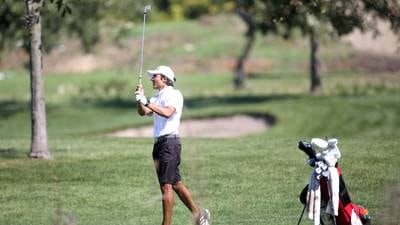 Boys golf: Hinsdale Central rides depth to title at 3A Plainfield North Sectional