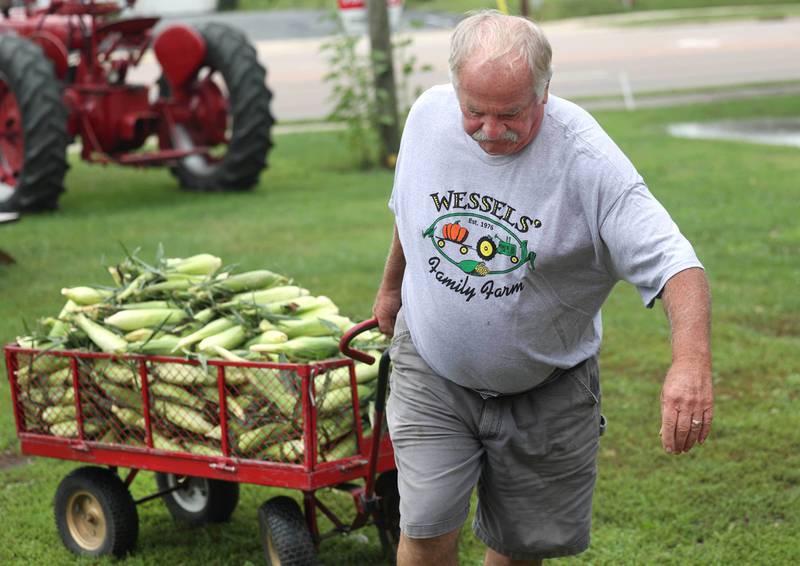 Wessels' Family Farm owner Rob Wessels hauls in a wagon full of sweet corn Tuesday, Aug. 19, 2025, at Wessels' Family Farm Market in DeKalb. They are preparing to be a big part of  this weekend’s Corn Fest.