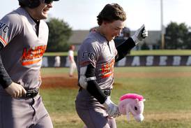 Photos: Northwest Herald Pictures of the Month April 2025