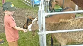 Cows, competition, food and fun: Lee County 4-H Fair concludes its 4-day run