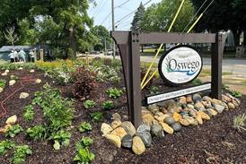 Kendall County Hilltop Gardeners Garden Club focuses on fall cleanup