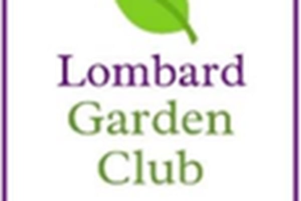 Lombard Garden Club to host Language of Flowers presentation