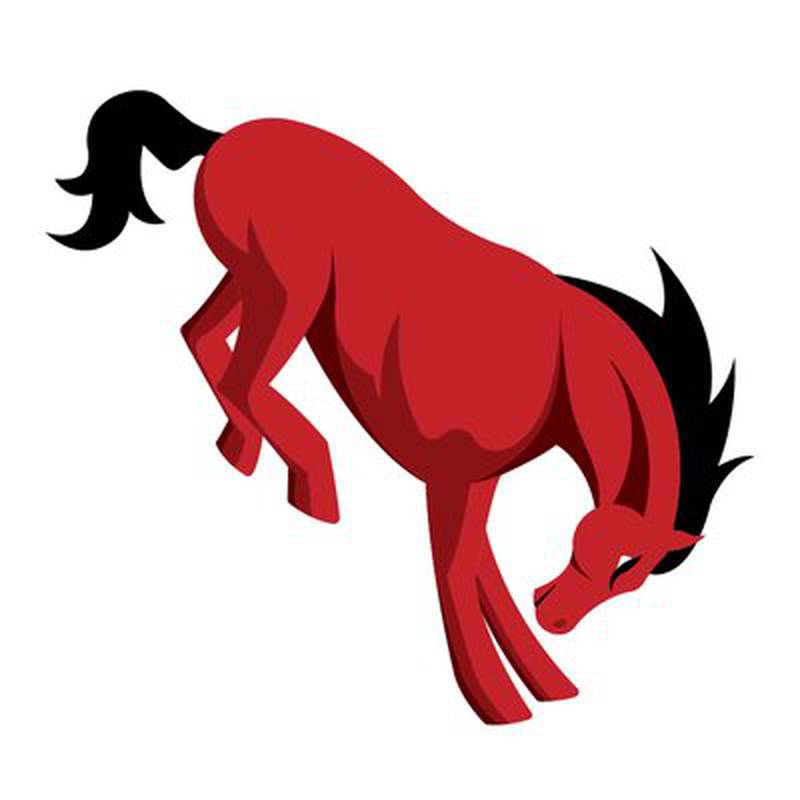 Barrington Broncos logo
