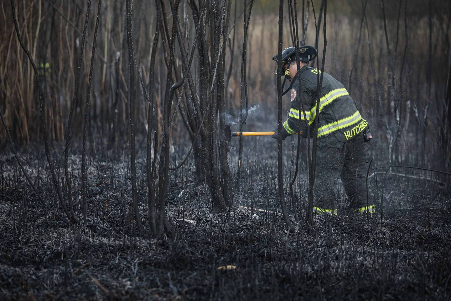 Nearly four acres of marshland burned near Cary Nov. 15, 2025.