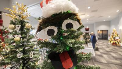 Photos: Rock River Hospice and Home's Festival of Trees