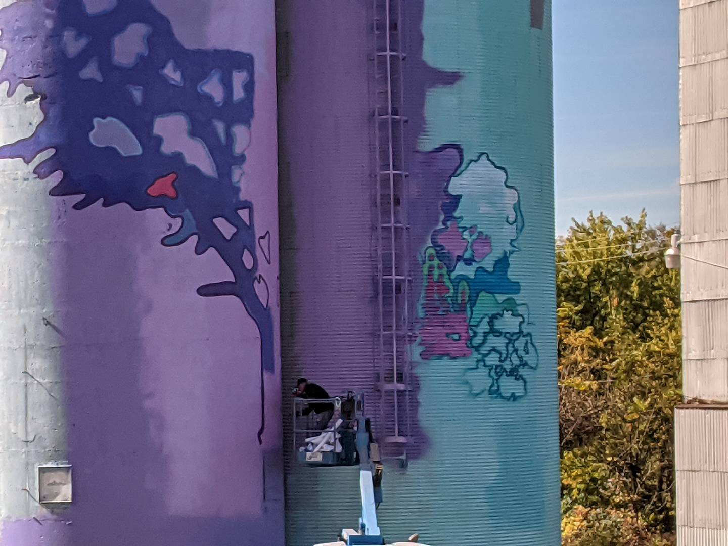 Artist Jason Watts recently started on a mural project on three silos located on Adams Street near Van Buren Street in downtown Oswego. The mural depicts scenes of the Fox River, flora and fauna, trees and a farm scene.