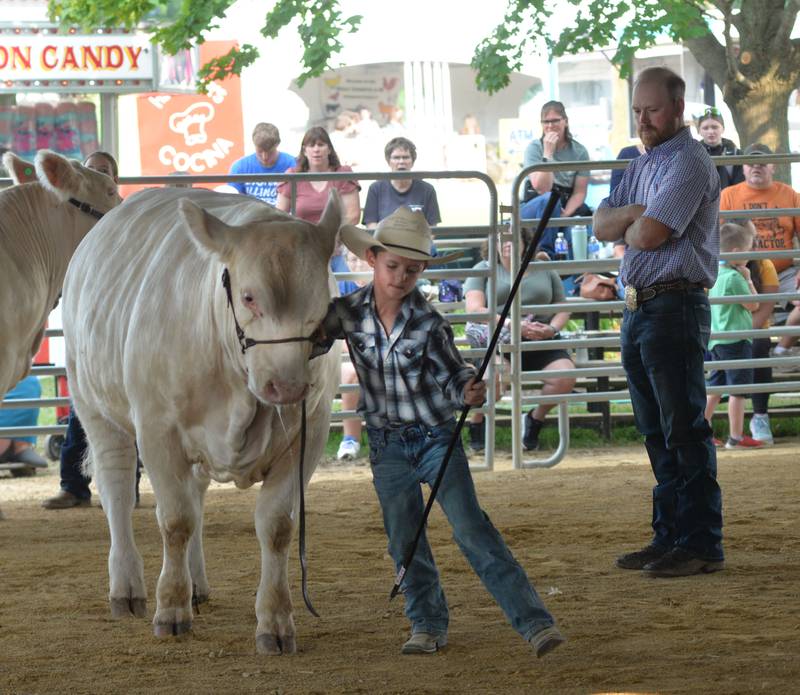 Quintin Walton, 9, of Dixon, leans into his steer as the judge watches at the Ogle County 4-H Fair on Thursday, July 31, 2025.