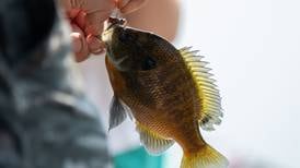 Glen Ellyn Park District’s fishin’ derby to cast off June 20