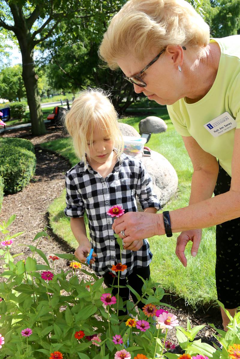 Clara Dyer, 6, of Elburn gets help picking a zinnia from Master Gardener, Ruth Ann Seney, at the Town and Country Public Library in Elburn on Saturday, Sept. 3, 2022.