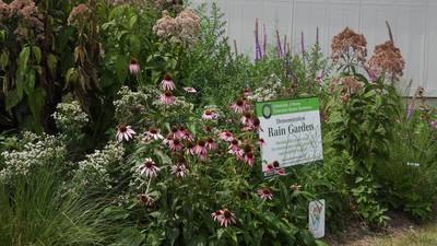 Learn about stormwater at Illinois Extension workshops in Sycamore