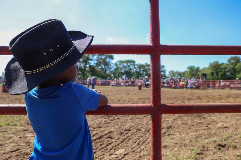 A young rodeo attendee watches the action during the 50th Pembroke Rodeo on Sunday, May 24, 2026.