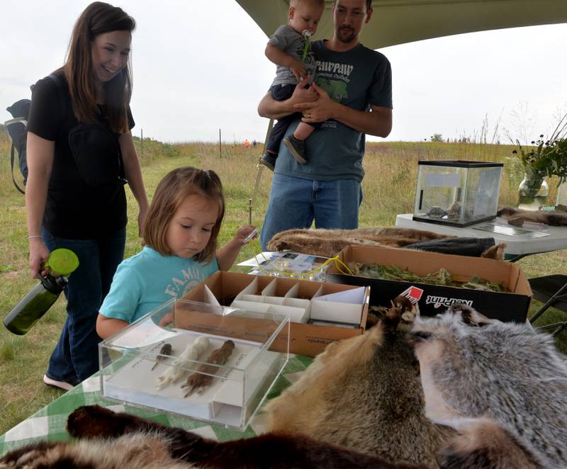 Gwen Kruis, 3, of Wauconda, was full of questions when she visited the Discovery Tent with her mom, Noreen, dad Mark, and brother Warren at the Nachusa Grassland's Autumn on the Prairie on Saturday, Sept. 16, 2023.