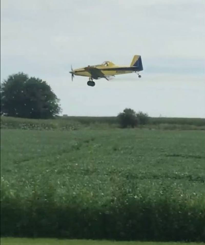 As the sweet smell of corn pollen is in the air, so too are the planes and helicopters applying fungicide.