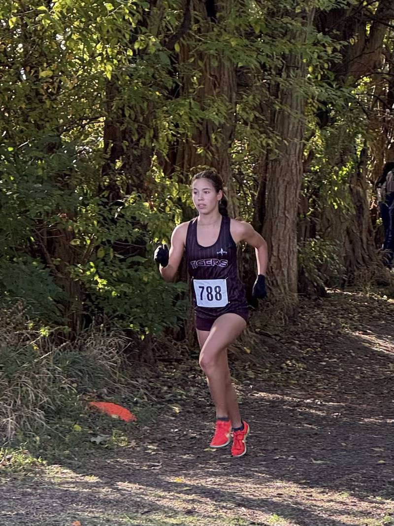 Marlie Czarniewski of Plainfield North.