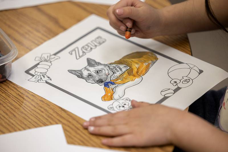 A young artist at Sterling’s Jefferson School colors a picture of a pet housed at Granny Rose Animal Shelter on Thursday, Feb. 5, 2026.