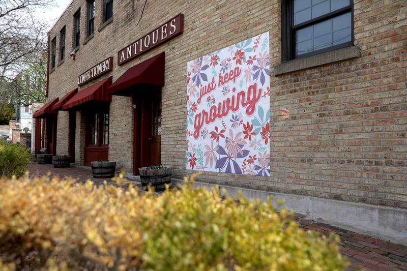 Just Keep Growing mural at 16 N. Riverside Ave. Five new murals were created by the St. Charles Business Alliance and New York artist Steffi Lynn and installed throughout Downtown St. Charles.