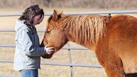 Dixon teen turns ‘untouchable’ horse into spirited barrel racer 