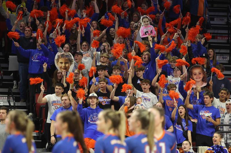 Genoa-Kingston fans cheer on the Cogs during introductions before the game against IC Catholic in the Class 2A championship match on Saturday in Normal.