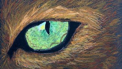 Rent art by local students with Ellwood House program in DeKalb