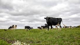 Congress advances whole milk bill