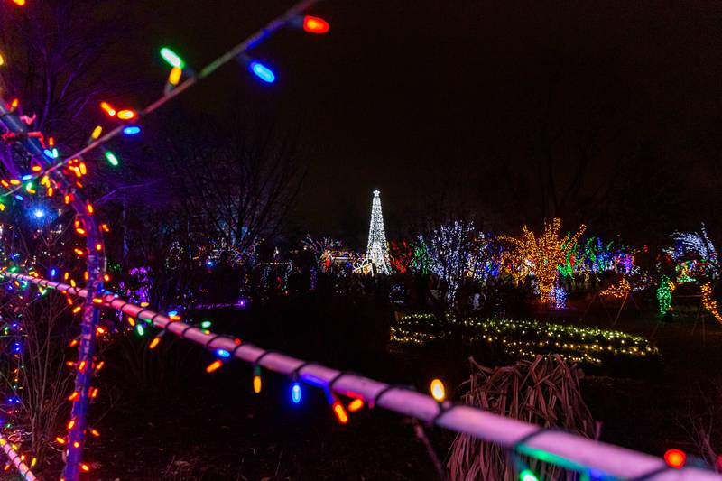 A family pose for a picture in front of  lighted package display at the Lombard Jingle Bell Jubilee. Dec 2, 2023