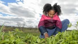 5 Things to Do: Celebrate Earth Day, pamper your pets and more in Kane County
