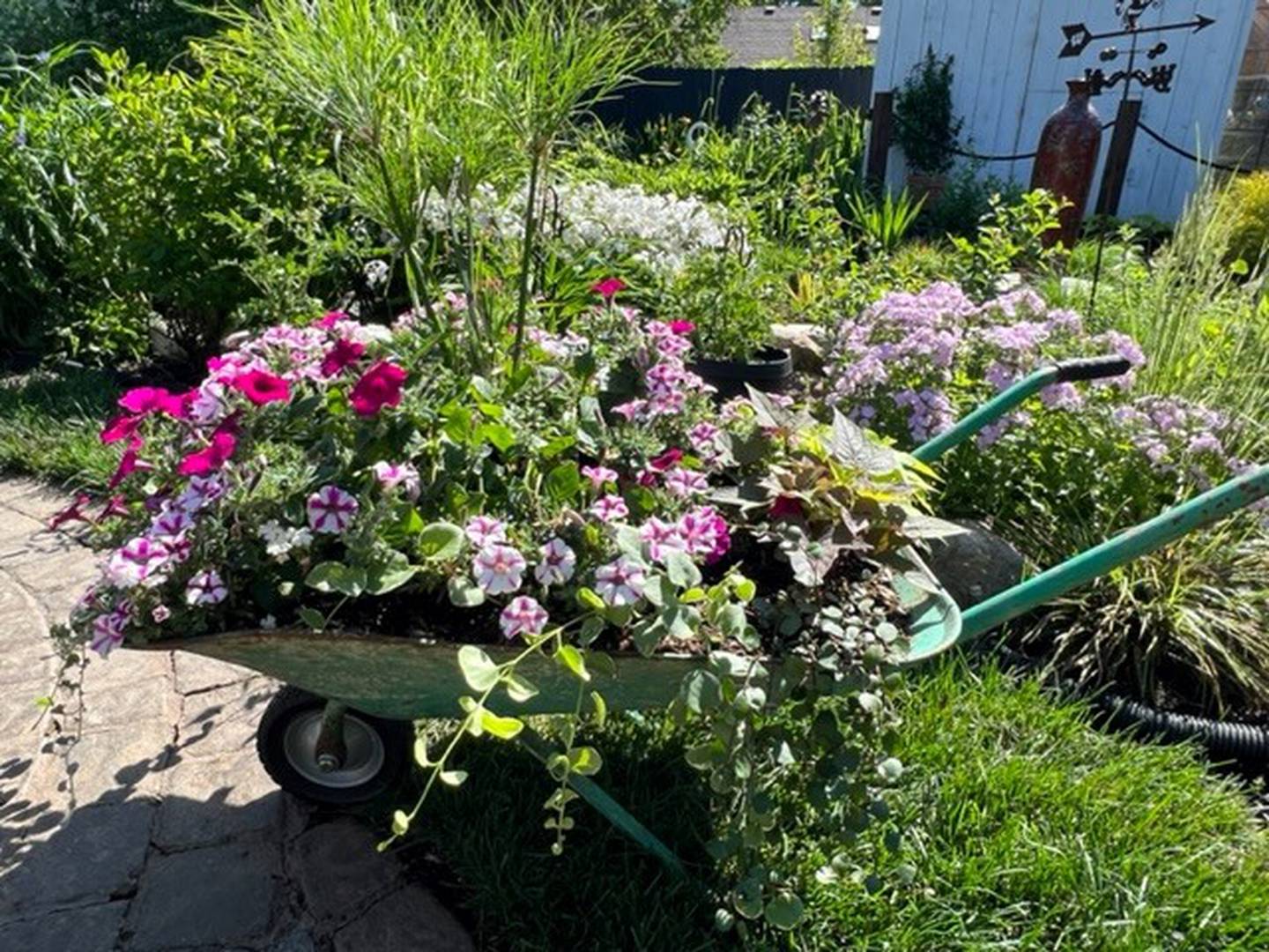 The Dively Garden which will be featured in the Master Gardeners' Garden Walk