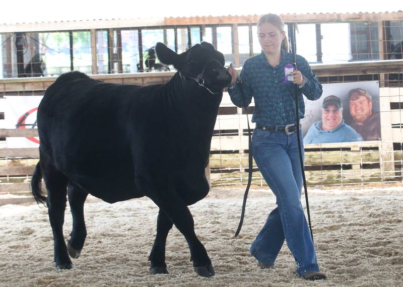 Jacey Enress of Camp Grove, walks her early summer yearling angus cow in the arena during the Marshall-Putnam County 4-H Fair on Wednesday, July 23, 2025 at the Marshall-Putnam Fairgounds in Henry.