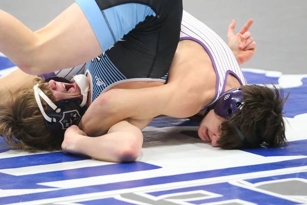 Dixon wrestling wins Princeton Regional title: Saturday’s Sauk Valley Roundup