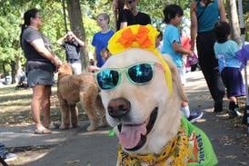 Photos: Canines shine at Barktoberfest: A day of fun in Ottawa