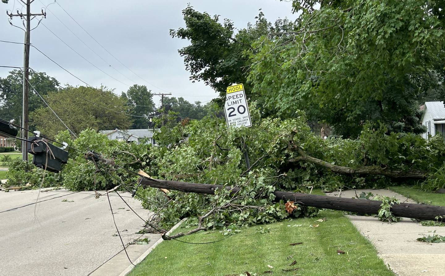 Trees and powe lines lay on W. Second Street in Byron, on Tuesday, July 16, 2024. following a strong storm ripped that through the town Monday night.