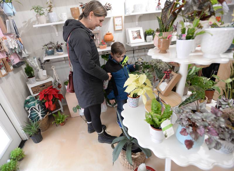 Michelle and Carter Schultz of Brookfield pick out a cactus while shopping at the Berwyn Shops Holiday Pop-Up Market Saturday Dec 10, 2022.