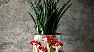 Carrie Molloy brings a range of artistry to Water Street Studios