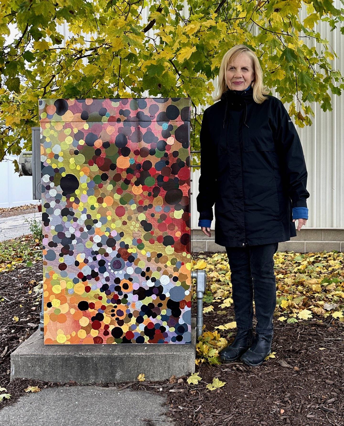 The utility box mural in the Vaughn parking lot in DeKalb was created using a painting by Julia Fauci.