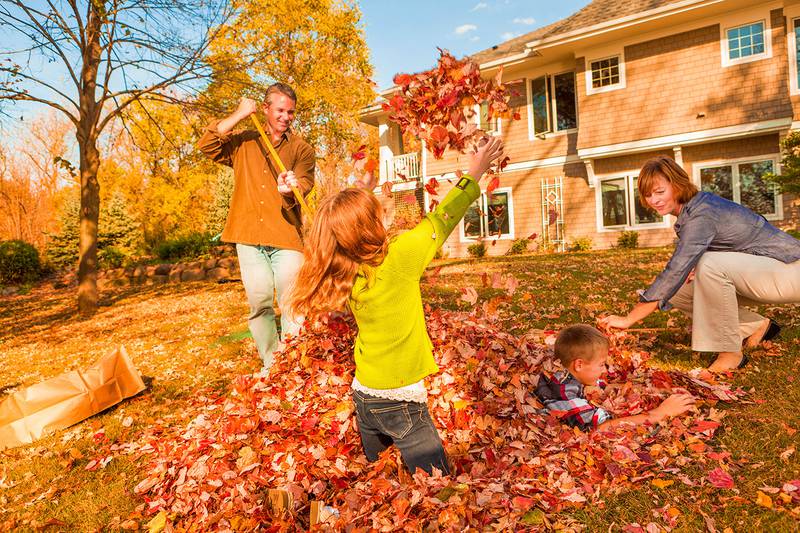 Merry Maids of Sycamore - Keep Your House Free from Fall Leaves