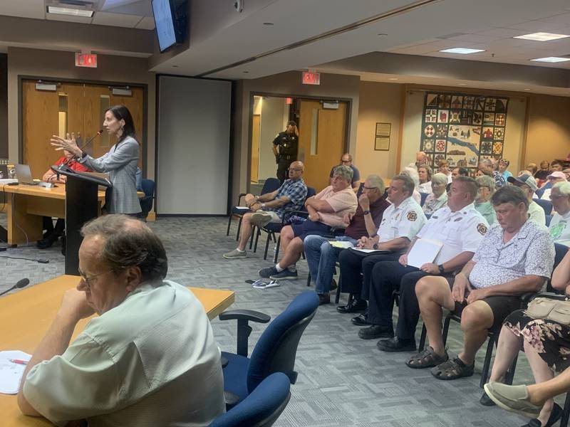 McHenry resident Cynthia Locke speaks out about downtown development proposals during a City Council meeting July 15, 2024.