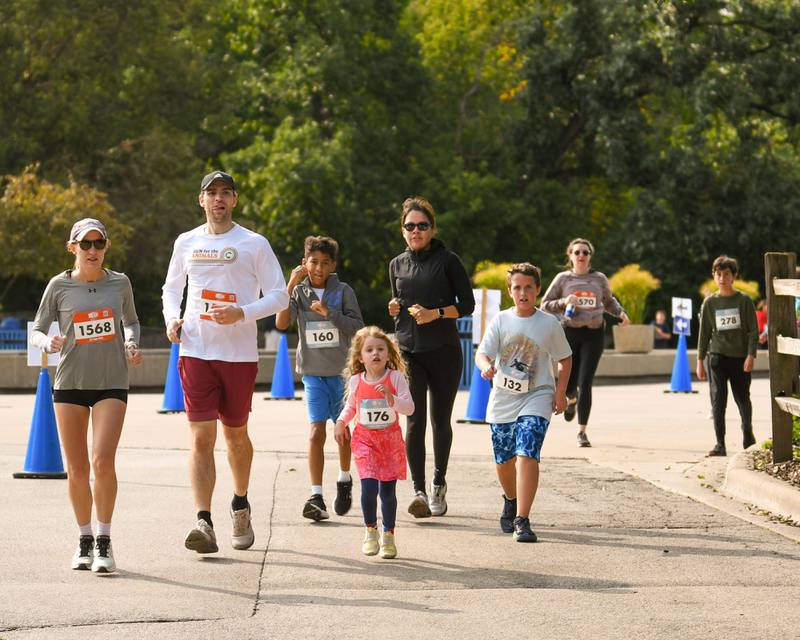 Families enjoy a stroll through the zoo during the kids dash 1-mile run through the zoo on Sunday Sept. 8, 2024, held at Brookfield Zoo in Brookfield.