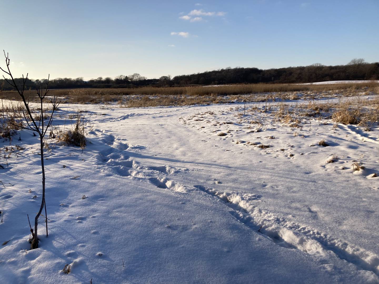 The Land Conservancy of McHenry County recently acquired 300 acres of land near Bull Valley. The nonprofit organization has plans to turn the land into a nature park, while preserving its five miles of bridle trails.