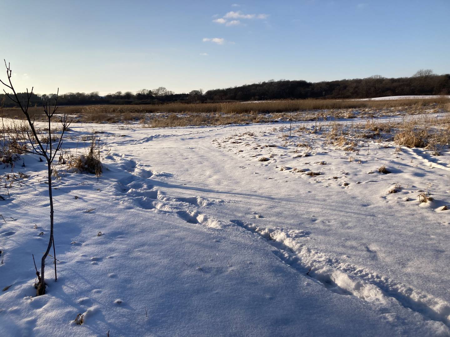 The Land Conservancy of McHenry County acquired 300 acres of land near Bull Valley in March 2022. The nonprofit plans to turn the land into a nature park, while preserving its 5 miles of bridle trails.