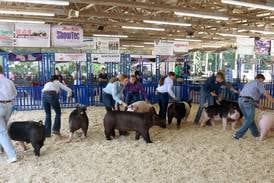 PHOTOS: Fun at the fair in Kendall County