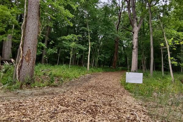 Winter nature walk set for Jan. 17