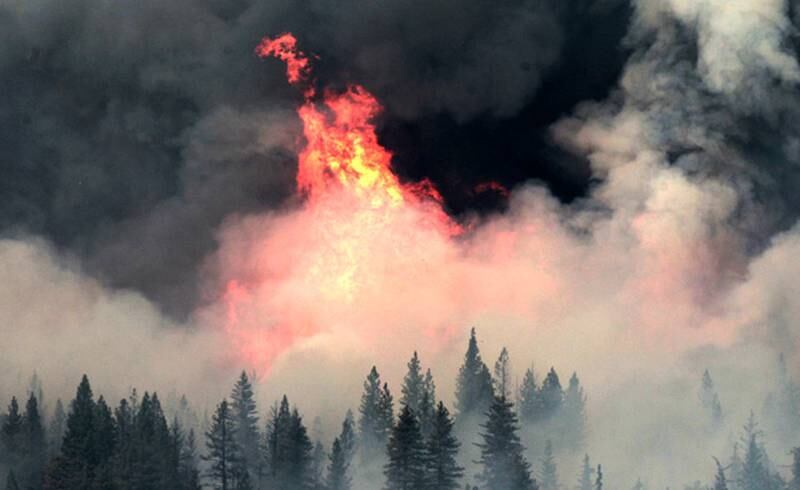 Flames and smoke from the Ponderosa Fire are seen, Monday Aug. 20, 2012, near Paynes Creek, Calif. Nearly 1,900 firefighters were battling the Ponderosa Fire in rugged, densely forested terrain as it threatened 3,500 homes in the towns of Manton, Shingletown and Viola, about 170 miles north of Sacramento.