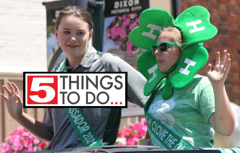 5 things to do