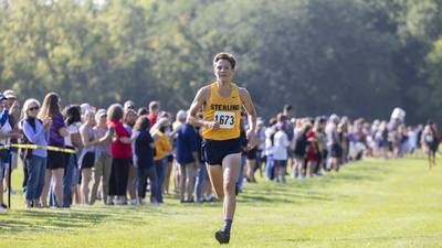 Sauk Valley state cross country preview: Senior Dale Johnson leads Sterling into state meet