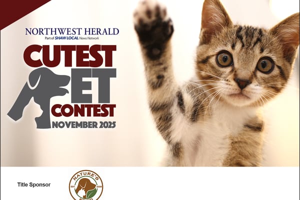 McHenry County November Cutest Pet 