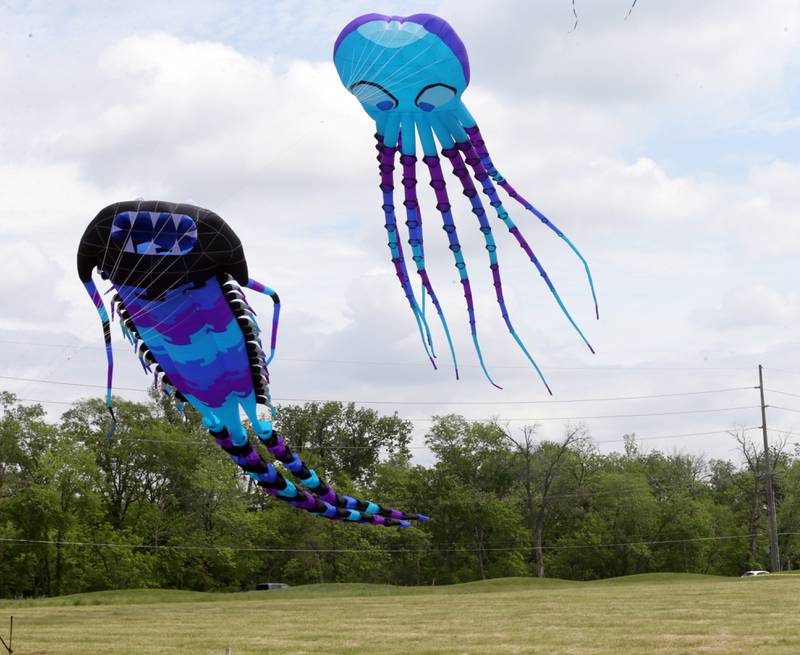 Photos Kites in Flight fills the sky at Heritage Harbor in Ottawa