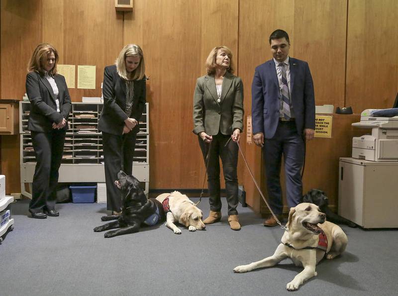Will County introduces team of therapy dogs to court system Shaw Local