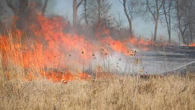 McHenry ShamROCKS fest suspends beer tent, live music Friday amid high winds; towns bans outdoor burns